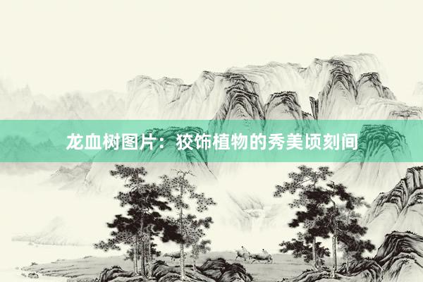 龙血树图片：狡饰植物的秀美顷刻间