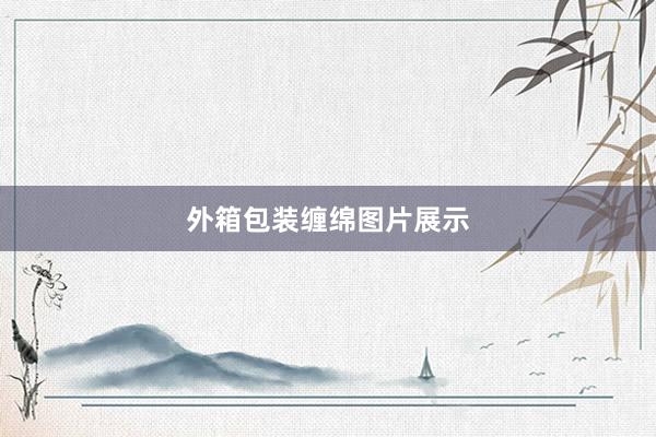 外箱包装缠绵图片展示